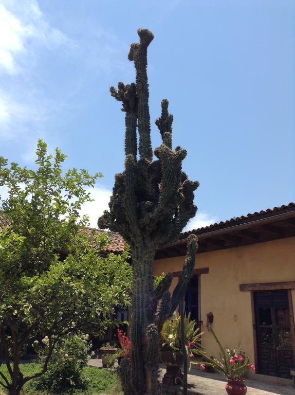 Hotel Meson de San Antonio à Pátzcuaro Extérieur photo